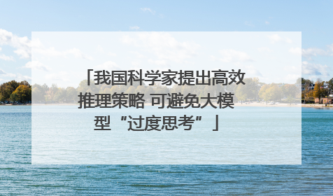 我国科学家提出高效推理策略 可避免大模型“过度思考”