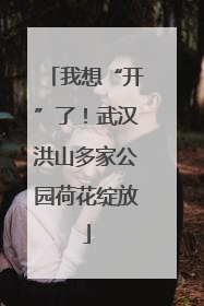 我想“开”了！武汉洪山多家公园荷花绽放