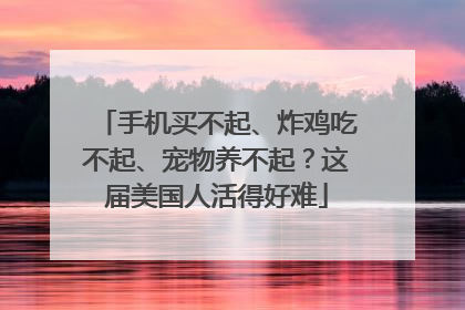 手机买不起、炸鸡吃不起、宠物养不起？这届美国人活得好难