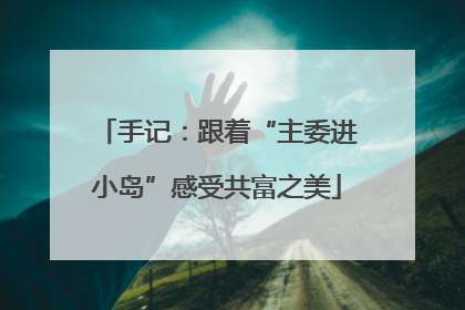 手记：跟着“主委进小岛”感受共富之美