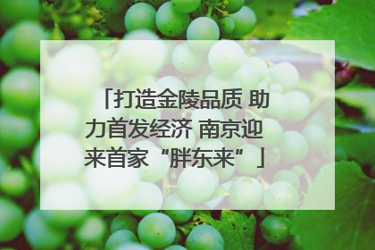 打造金陵品质 助力首发经济 南京迎来首家“胖东来”