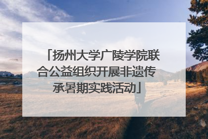 扬州大学广陵学院联合公益组织开展非遗传承暑期实践活动
