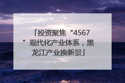 投资聚焦“4567”现代化产业体系，黑龙江产业换新景