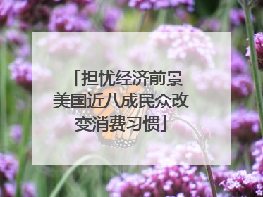 担忧经济前景 美国近八成民众改变消费习惯