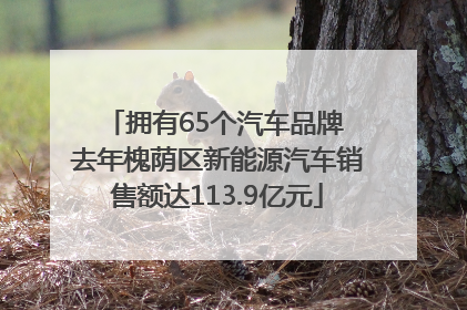 拥有65个汽车品牌 去年槐荫区新能源汽车销售额达113.9亿元