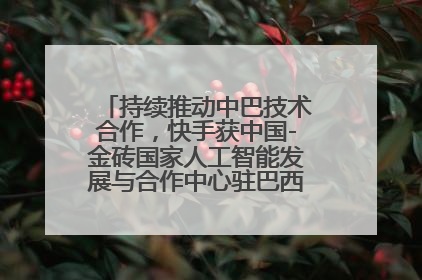 持续推动中巴技术合作，快手获中国-金砖国家人工智能发展与合作中心驻巴西成果转化中心授牌