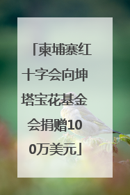 柬埔寨红十字会向坤塔宝花基金会捐赠100万美元