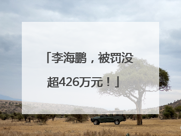 李海鹏，被罚没超426万元！