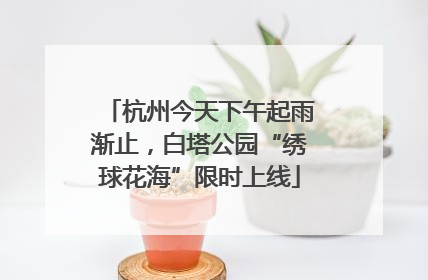 杭州今天下午起雨渐止，白塔公园“绣球花海”限时上线