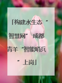 构建水生态“智慧网” 成都青羊“智能哨兵”上岗