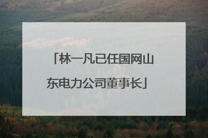 林一凡已任国网山东电力公司董事长