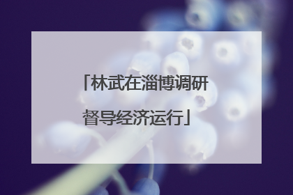 林武在淄博调研督导经济运行
