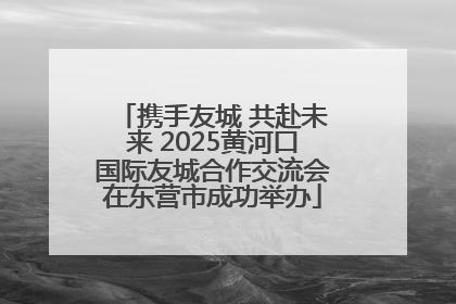 携手友城 共赴未来 2025黄河口国际友城合作交流会在东营市成功举办
