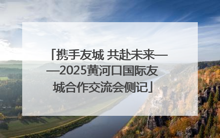 携手友城 共赴未来——2025黄河口国际友城合作交流会侧记