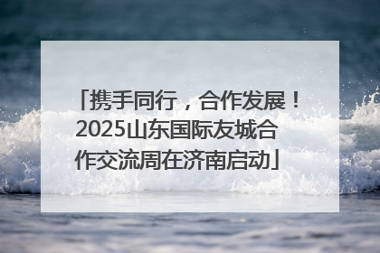 携手同行，合作发展！2025山东国际友城合作交流周在济南启动