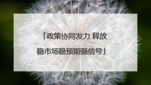 政策协同发力 释放稳市场稳预期强信号