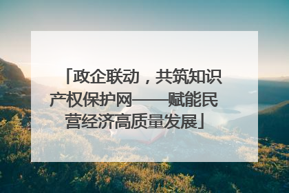 政企联动，共筑知识产权保护网——赋能民营经济高质量发展