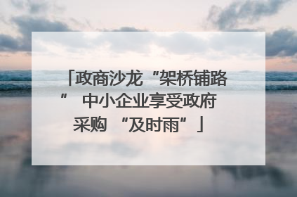 政商沙龙“架桥铺路” 中小企业享受政府采购 “及时雨”