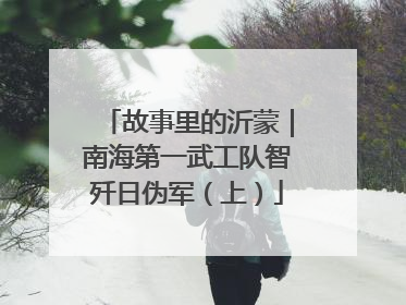 故事里的沂蒙｜南海第一武工队智歼日伪军（上）