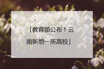 教育部公布！云南新增一所高校
