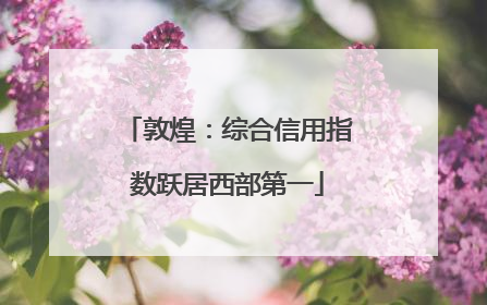 敦煌：综合信用指数跃居西部第一