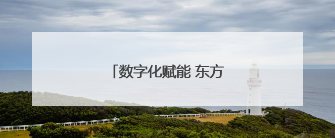 数字化赋能 东方雨虹全链“智变”