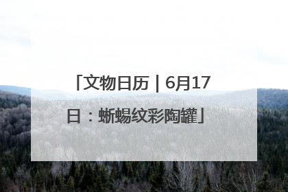 文物日历｜6月17日：蜥蜴纹彩陶罐