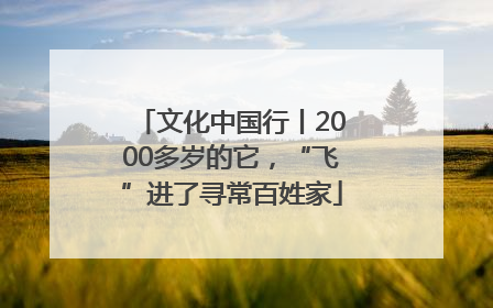 文化中国行丨2000多岁的它，“飞”进了寻常百姓家