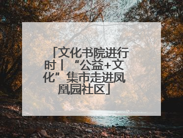 文化书院进行时丨“公益+文化”集市走进凤凰园社区