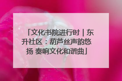 文化书院进行时｜东升社区：葫芦丝声韵悠扬 奏响文化和谐曲