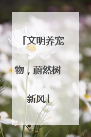 文明养宠物，蔚然树新风