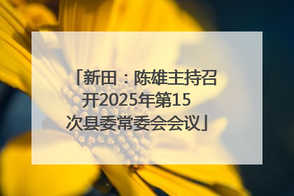 新田：陈雄主持召开2025年第15次县委常委会会议