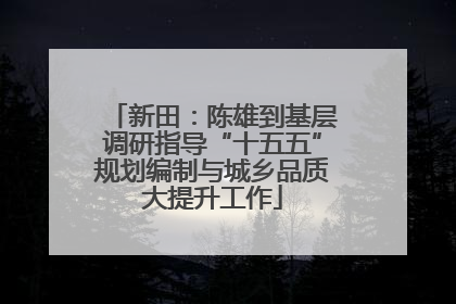 新田：陈雄到基层调研指导“十五五”规划编制与城乡品质大提升工作