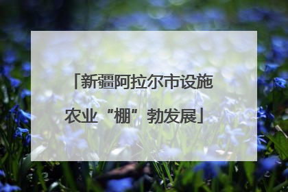新疆阿拉尔市设施农业“棚”勃发展