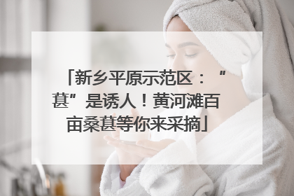 新乡平原示范区：“葚”是诱人！黄河滩百亩桑葚等你来采摘