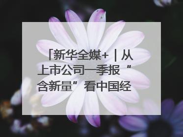 新华全媒+｜从上市公司一季报“含新量”看中国经济发展向“新”