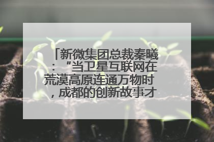 新微集团总裁秦曦：“当卫星互联网在荒漠高原连通万物时，成都的创新故事才真正开始”