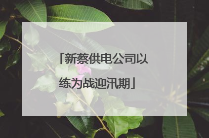 新蔡供电公司以练为战迎汛期