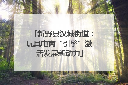 新野县汉城街道：玩具电商“引擎”激活发展新动力