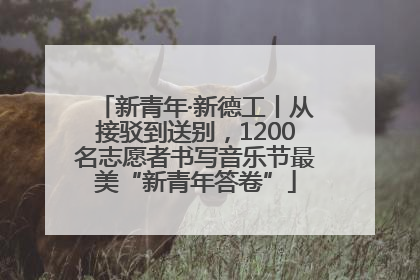 新青年·新德工丨从接驳到送别，1200名志愿者书写音乐节最美“新青年答卷”