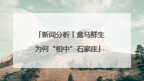 新闻分析丨盒马鲜生为何“相中”石家庄
