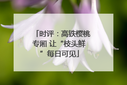 时评：高铁樱桃专厢 让“枝头鲜”每日可见