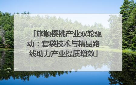 旅顺樱桃产业双轮驱动：套袋技术与精品路线助力产业提质增效