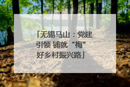 无锡马山：党建引领 铺就“梅”好乡村振兴路
