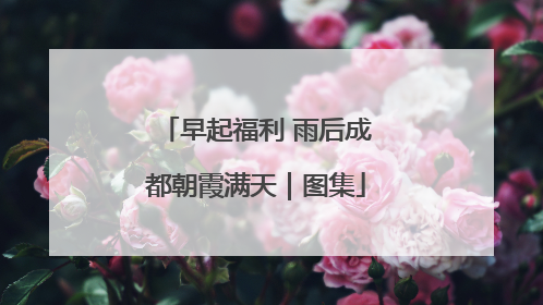 早起福利 雨后成都朝霞满天｜图集