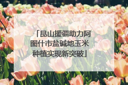 昆山援疆助力阿图什市盐碱地玉米种植实现新突破