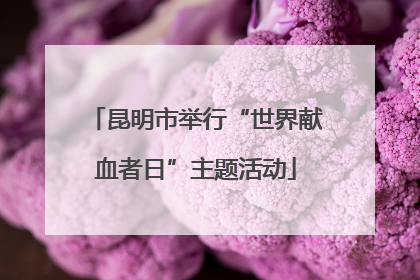昆明市举行“世界献血者日”主题活动