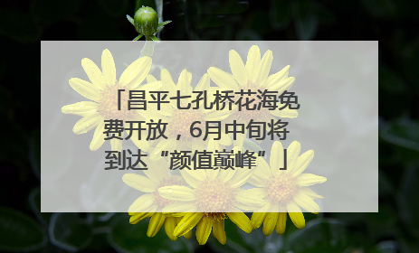 昌平七孔桥花海免费开放，6月中旬将到达“颜值巅峰”