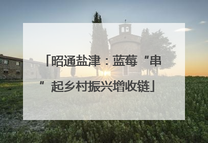 昭通盐津：蓝莓“串”起乡村振兴增收链