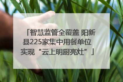 智慧监管全覆盖 阳新县225家集中用餐单位实现“云上明厨亮灶”